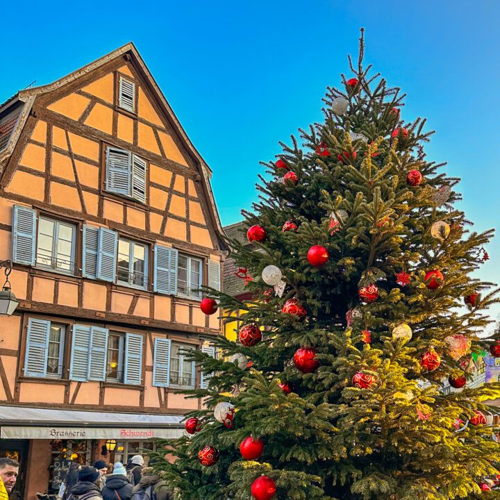 Árvore de Natal em dia ensolarado em Colmar, na França
